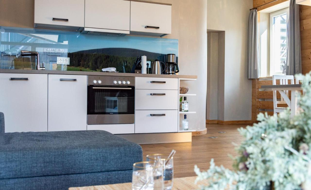Strandberg'S Stadt Chalet Braunlage Dış mekan fotoğraf