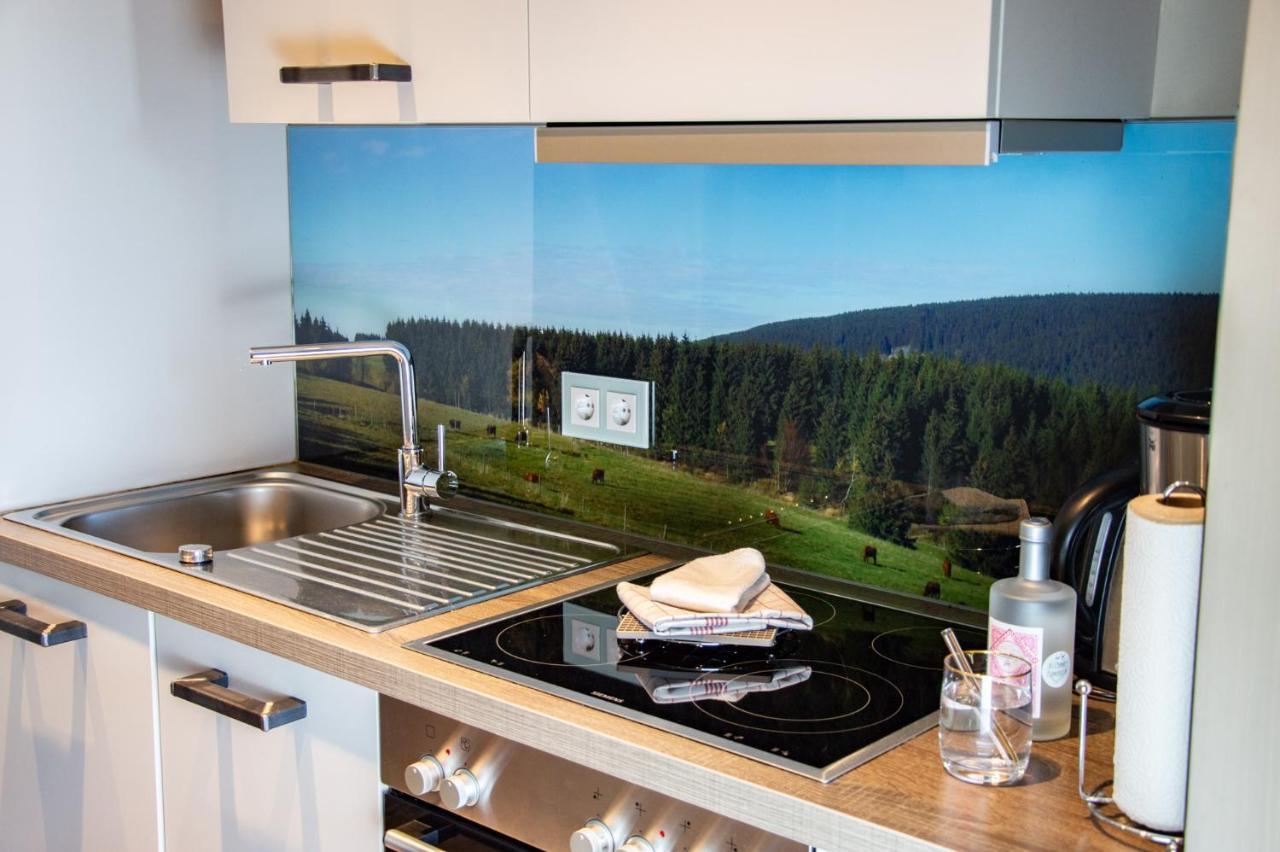 Strandberg'S Stadt Chalet Braunlage Dış mekan fotoğraf