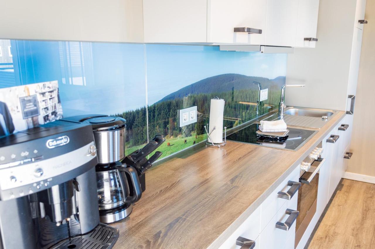 Strandberg'S Stadt Chalet Braunlage Dış mekan fotoğraf